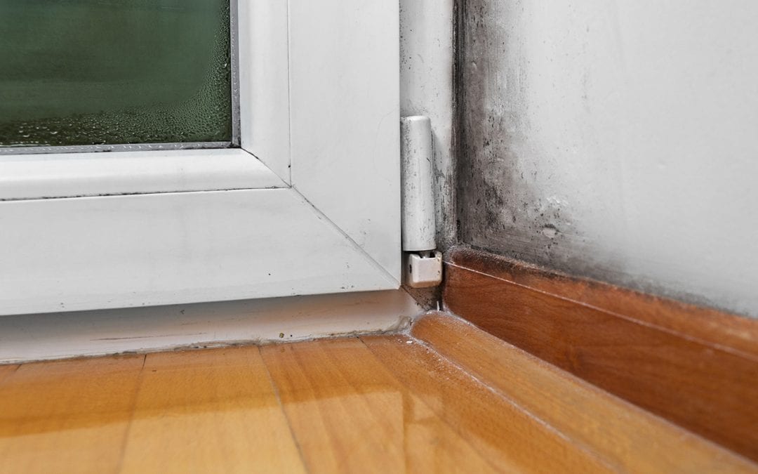 7 Ways to Prevent Mold Growth In Your Home